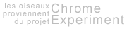 Chrome Experiment